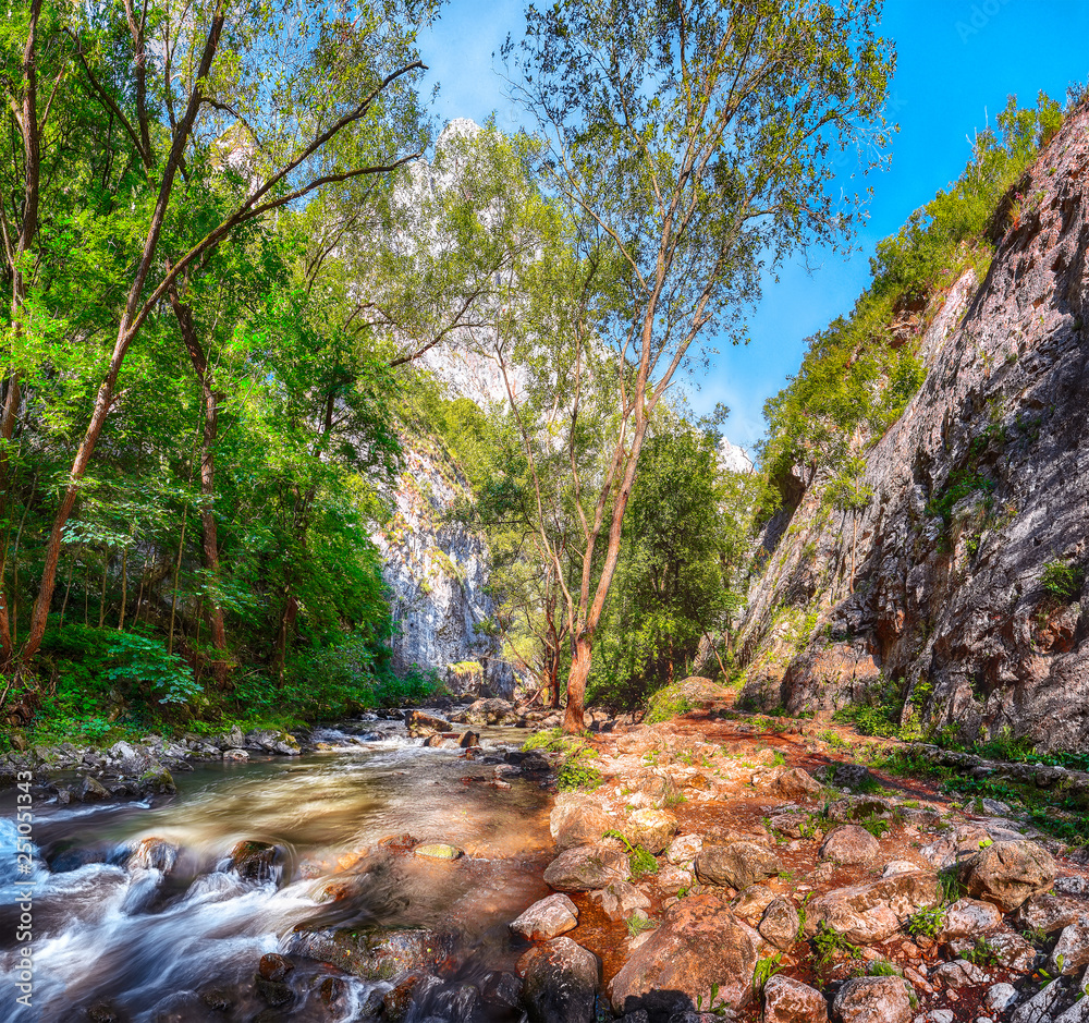 Obraz premium Turda gorge Cheile Turzii is a natural reserve with marked trails for hikes on Hasdate River