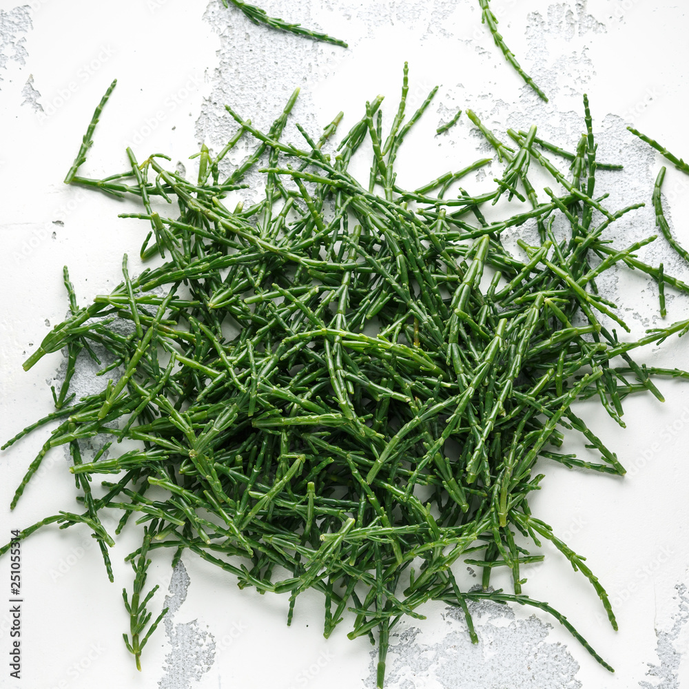 Fresh green samphire in a white background Fresh green samphire in a white background