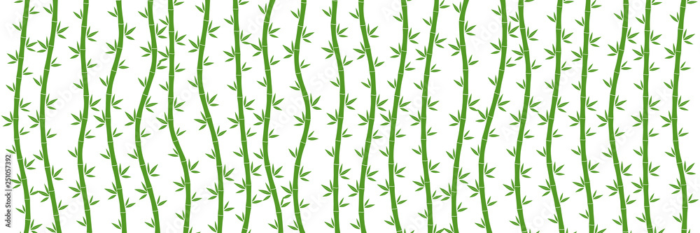 Fototapeta premium Green Bamboo background. Vector illustration.