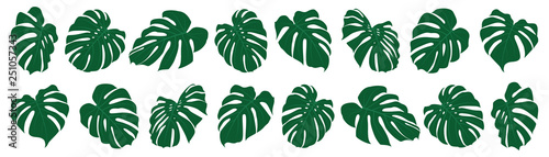 Set of tropical leaves. Vector illustration photo