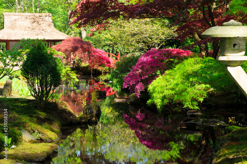 japanese garden in The Hague