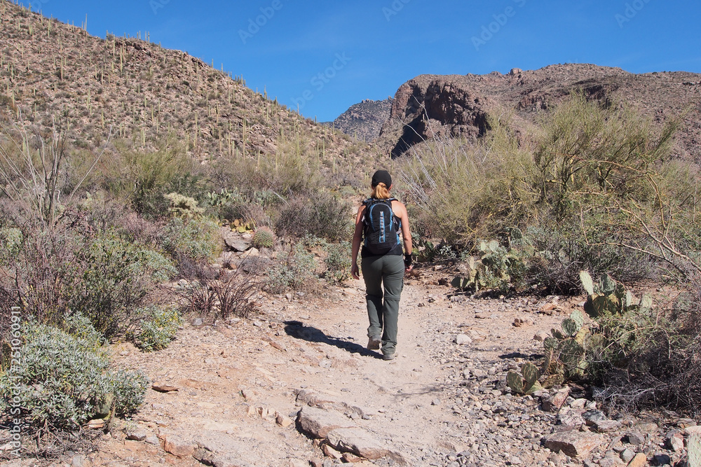 Woman hiking the Pima Canyon Trail in the Santa Catalina Mountains near Tucson, Arizona. Woman hiking the Pima Canyon Trail in the Santa Catalina Mountains near Tucson, Arizona.