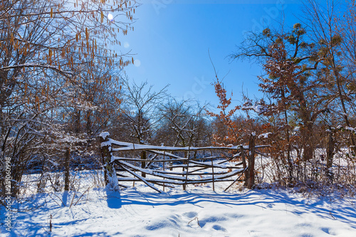 Wooden fence covered with s...