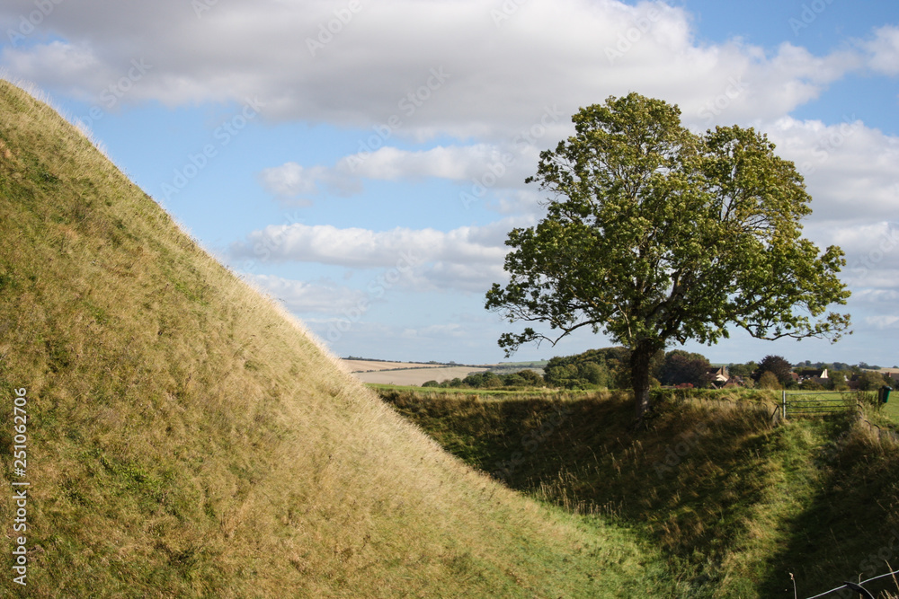 Small hill in frfont of a old tree, countryside Old Sarum, England