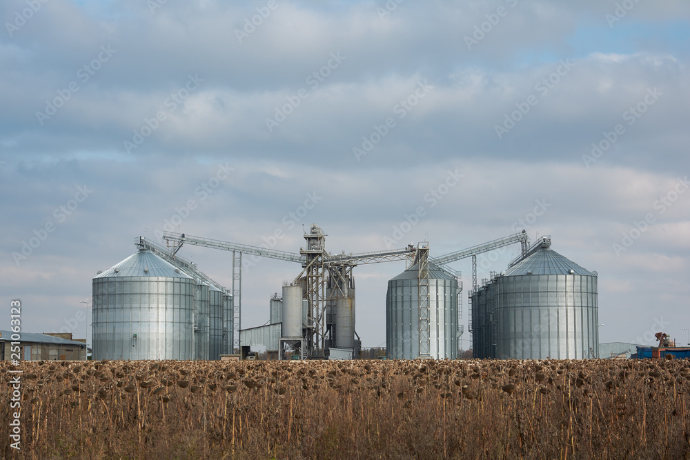 Grain elevator in agricultural zone. Granary with mechanical equipment for receiving, cleaning, drying, grain shipment.