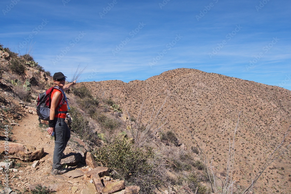 Woman hiking the King Canyon Trail in the Tucson Mountains area of Saguaro National Park, Arizona. Woman hiking the King Canyon Trail in the Tucson Mountains area of Saguaro National Park, Arizona.