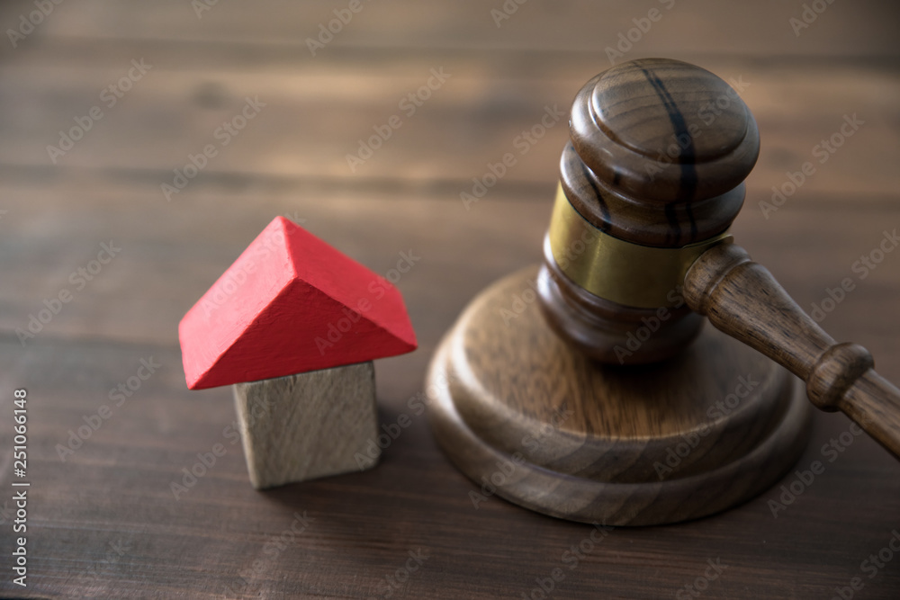 house model with judge house model with judge