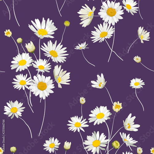Photographie Floral Seamless Pattern with Chamomile Flowers