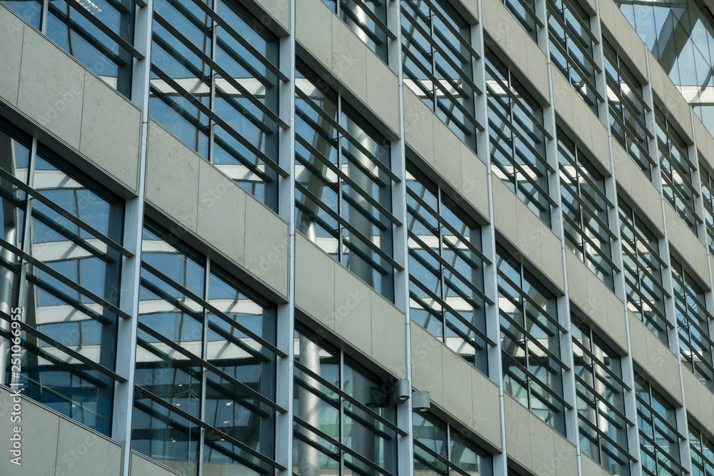 Windows of a skyscraper with steel mesh guard Windows of a skyscraper with steel mesh guard