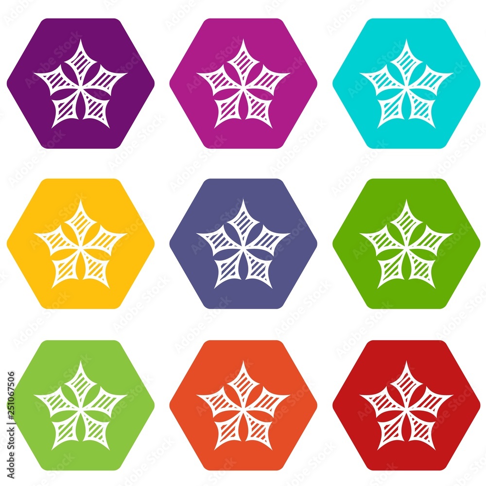 Convex star icons 9 set coloful isolated on white for web