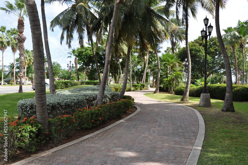 Park in Oranjestad, Aruba photo