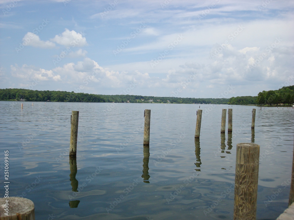 Multiple wooden posts in the lake Multiple wooden posts in the lake