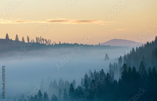 Summer mountain landscape. Morning fog over blue mountain hills covered with dense misty spruce forest on bright pink sky at sunrise copy space background. © bilanol