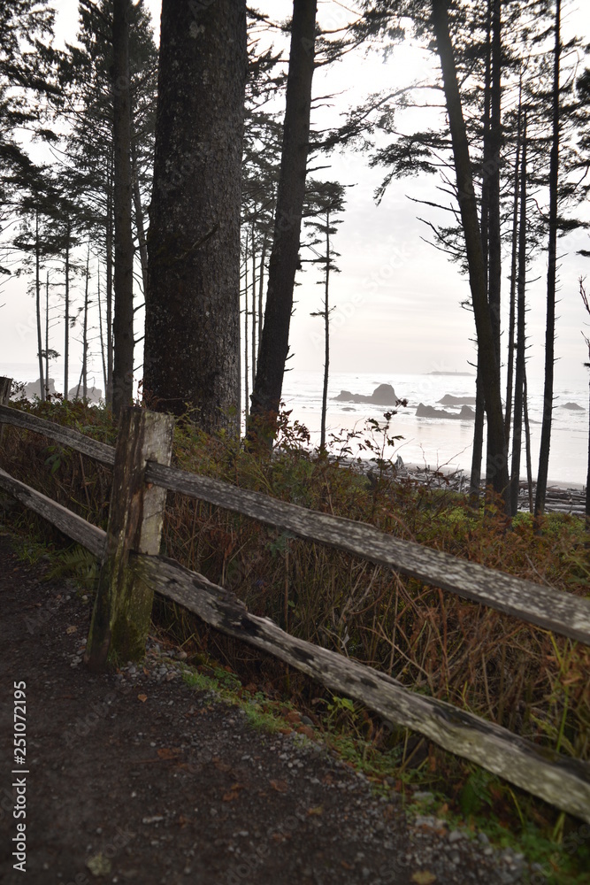 Olympic National Park, Washington state. U.S.A. October 17, 2017. Ruby Beach.