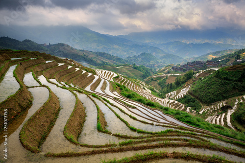 Longsheng Rice Terraces, Longji Rice Terrace (Dragons Backbone) in Longsheng County - Guangxi Province, China. Layered Irrigated Terraces filled with water, new seasonal crop. Chinese Landscape © Cedar