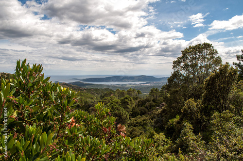A landscape overlooking a forested coast in Corsica, France