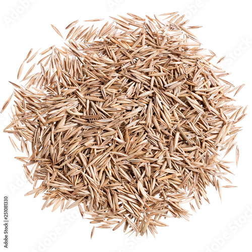 A heap of quality seeds of lawn grass, for your personal garden. Can be used for create new unique packaging with seeds on background. photo