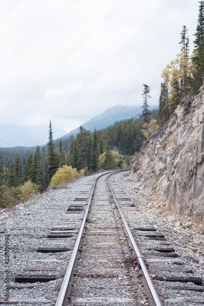 Fototapeta premium Train tracks in the wilderness