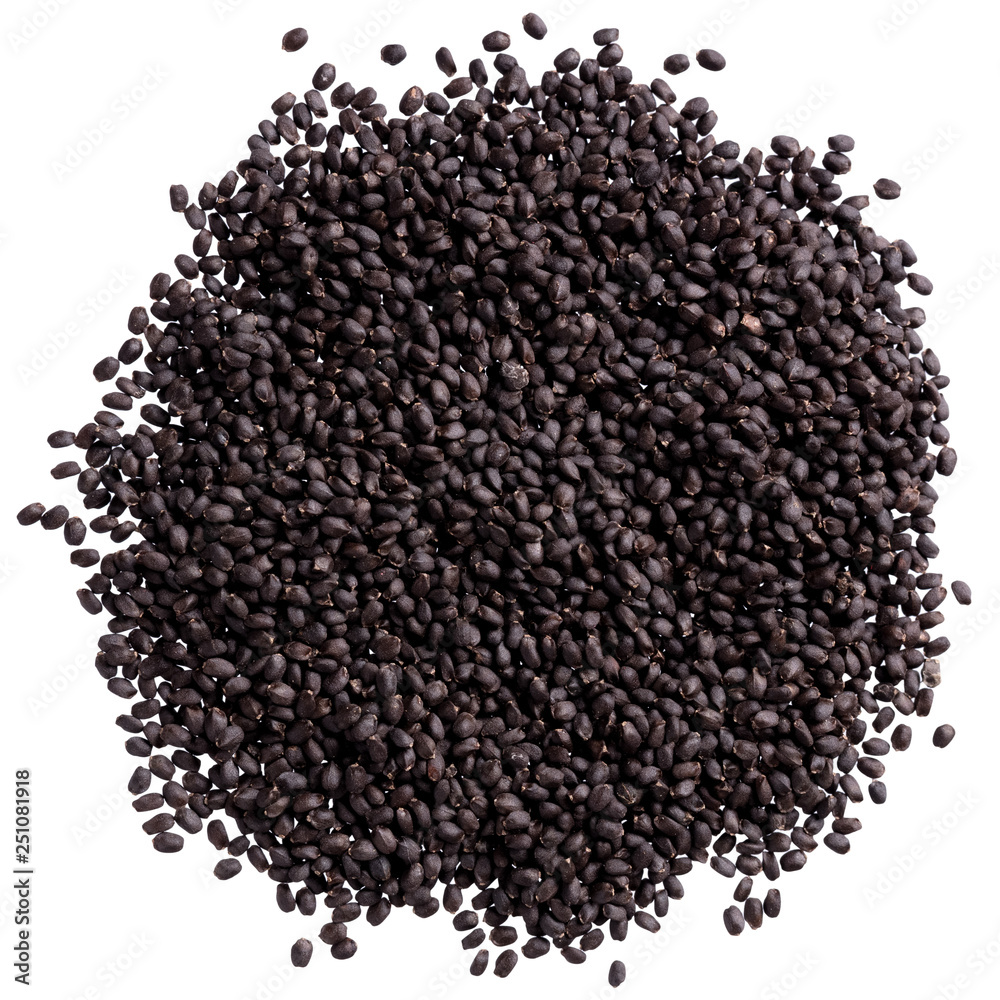 A heap of quality seeds of basil, spice for your unique garden. Can be used for create new stylish packaging with seeds on background. A heap of quality seeds of basil, spice for your unique garden. Can be used for create new stylish packaging with seeds on background.