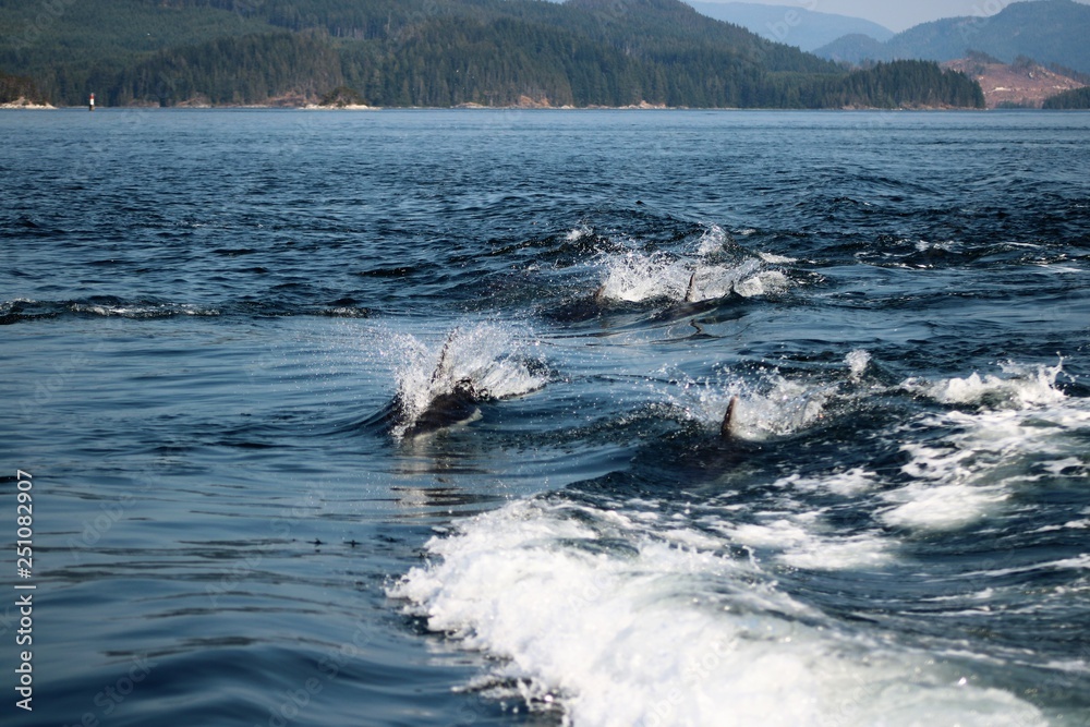 Naklejka premium Wake