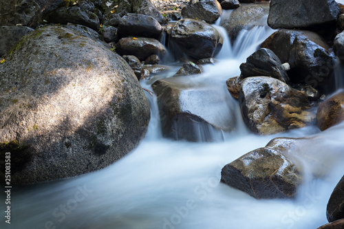 silky water glade
