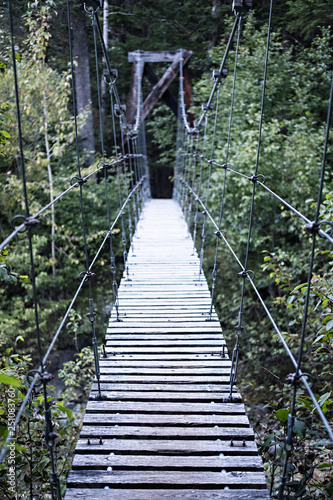 suspension bridge trail