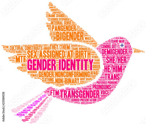 Gender Identity Word Cloud on a white background. 