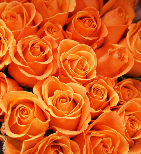 Fresh orange roses bouquet flower background 