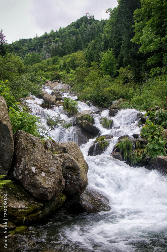 Obraz premium A generic woodland river scene with fast flowing river, rocks and green trees vegetation