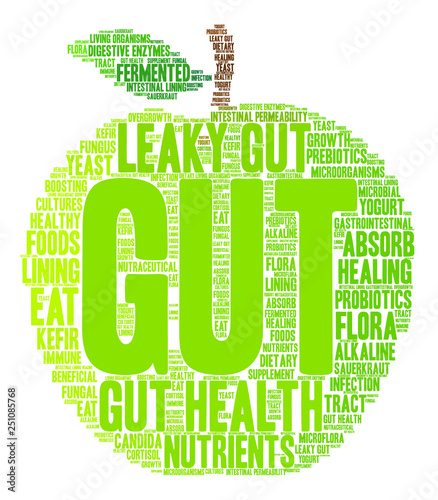 Gut Word Cloud