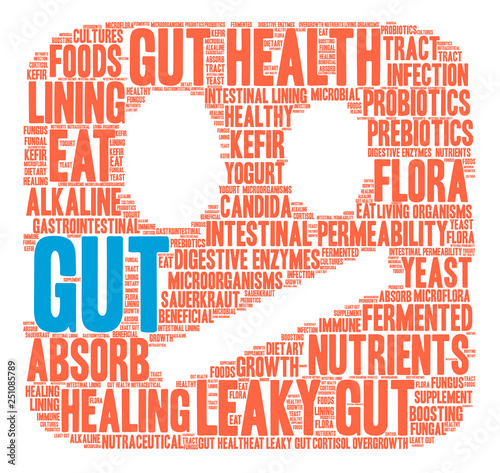 Gut Word Cloud on a white background. 