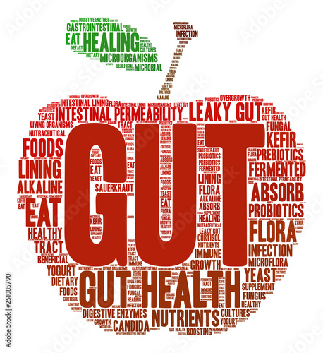 Gut Word Cloud