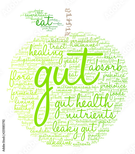 Gut Word Cloud on a white background. 