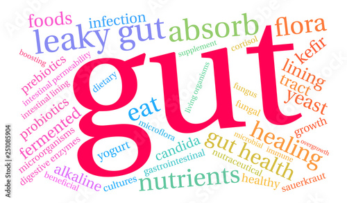 Gut Word Cloud on a white background. 