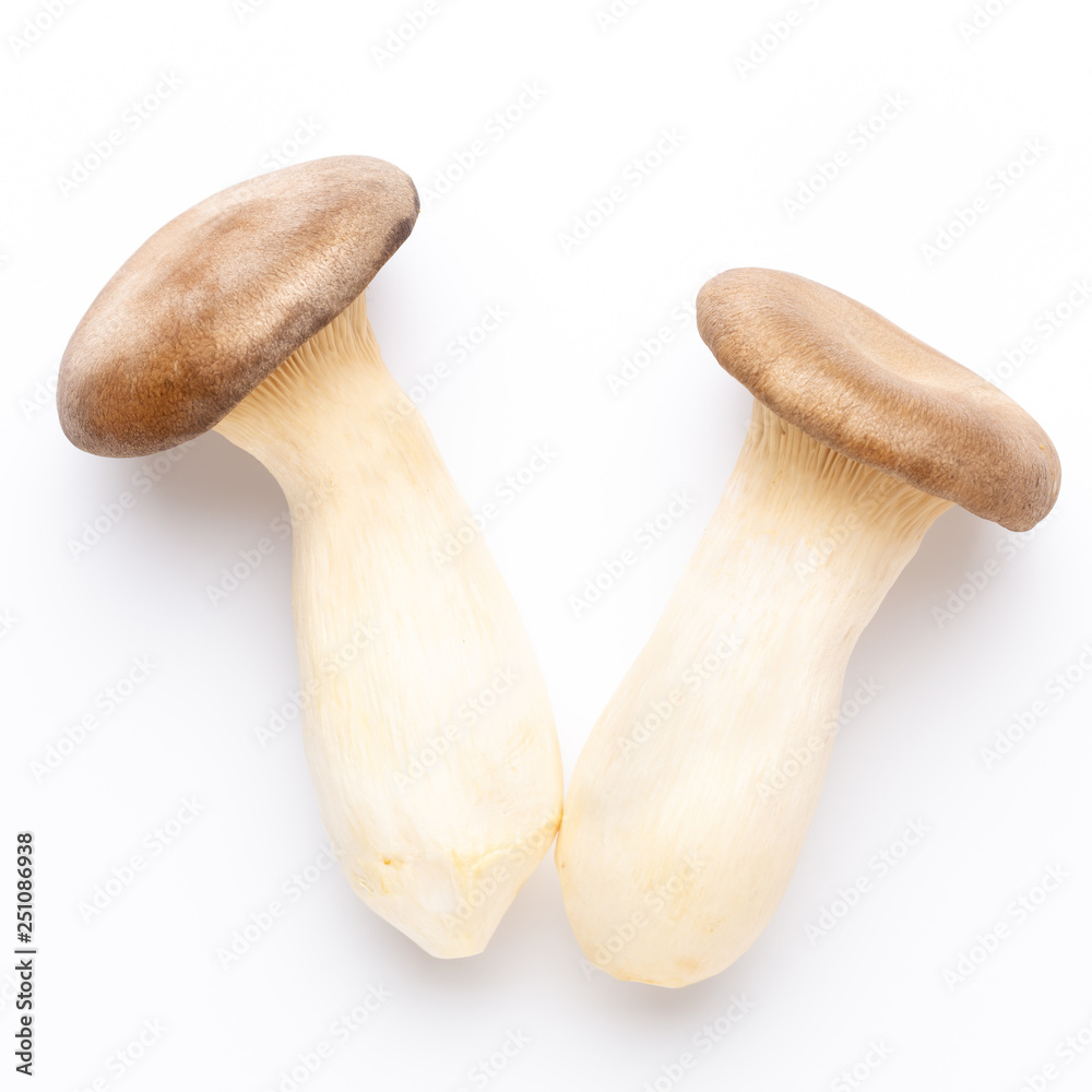 King oyster mushroom on white background. King oyster mushroom on white background.