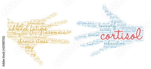 Cortisol Word Cloud on a white background. 