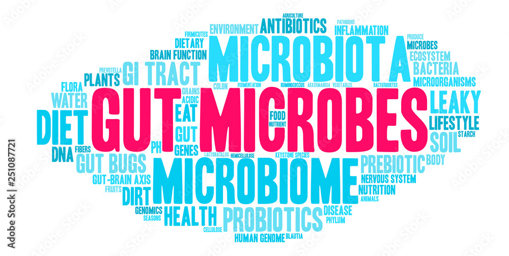 Gut Microbes Word Cloud on a white background. Gut Microbes Word Cloud on a white background.