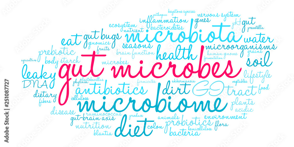 Gut Microbes Word Cloud on a white background. Gut Microbes Word Cloud on a white background.