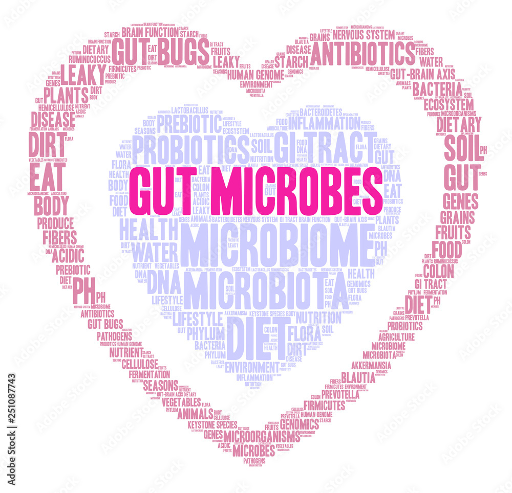 Gut Microbes Word Cloud on a white background. 