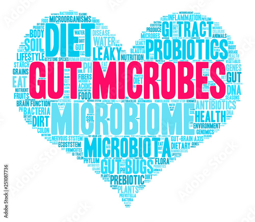 Gut Microbes Word Cloud