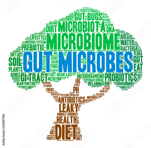 Gut Microbes Word Cloud