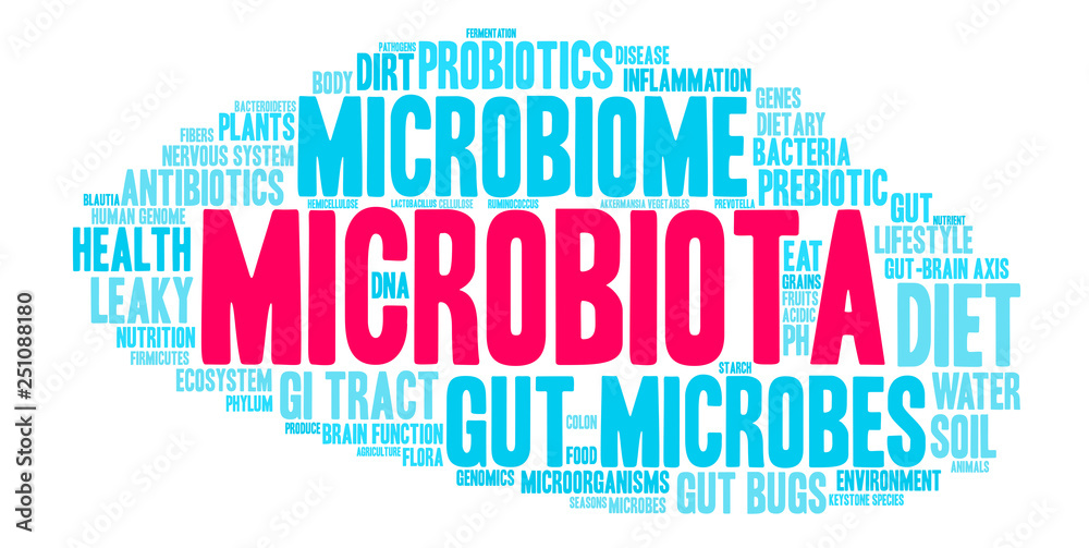 Microbiota Word Cloud on a white background. Microbiota Word Cloud on a white background.