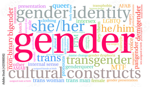 Gender Word Cloud on a white background.  photo