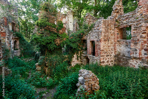 ruins of medieval castle Landskron in Germany