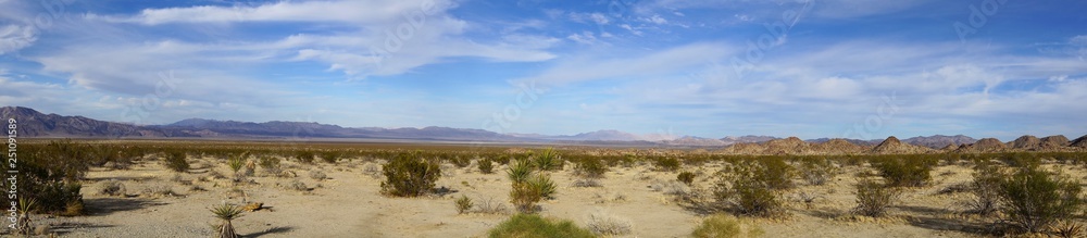 Panoramic view of Joshua Tree Nationsl Park - Mojave desert Panoramic view of Joshua Tree Nationsl Park - Mojave desert