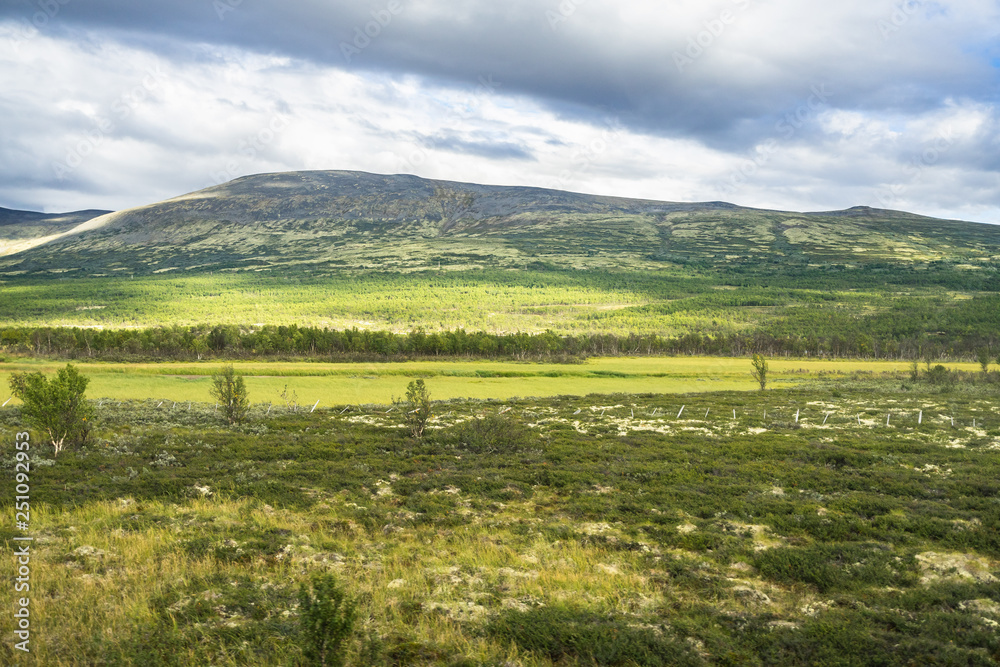 Landscape of Oppland county viewed from the train from Oslo to Trondheim, Norway