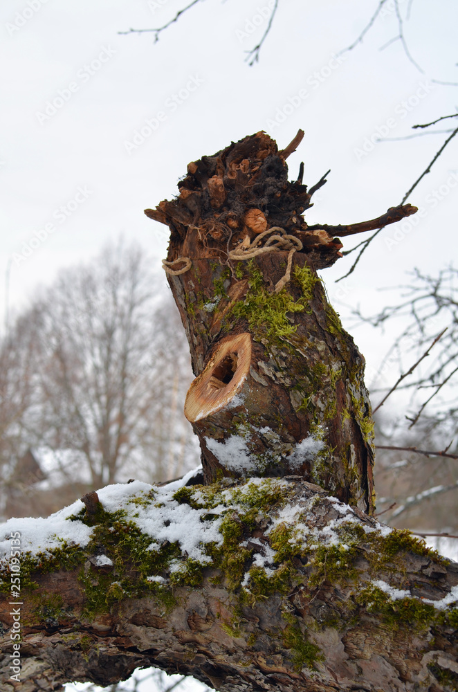 Fototapeta premium bird tree house made from an old hollow stump