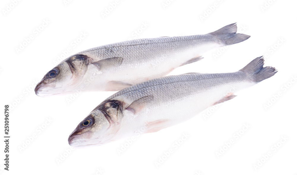 Fish carcass Dicentrarchus labrax on white. Fish carcass Dicentrarchus labrax on white.