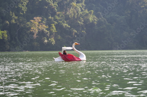 Fototapeta Naklejka Na Ścianę i Meble -  Pédalo en forme de cygne sur un lac 