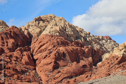 White top and red rock
